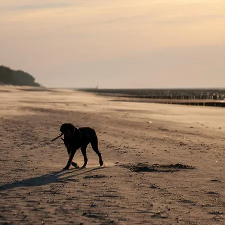 Sea View Tower Porta Mare 10 Floor Дзивновек
